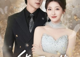 短剧《华丽人生（60集）》爆款短剧免费在线看全集