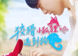 短剧《狡猾小狐狸遇到狗（80集）》热门短剧完整免费看