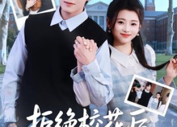 短剧《拒绝校花后，他后悔了（85集）》精彩短剧全集免费呈现