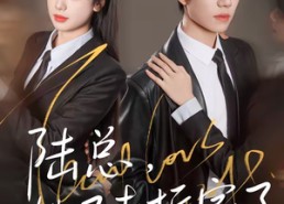 短剧《陆总，她又去拆家了（80集）》精彩短剧全集免费享