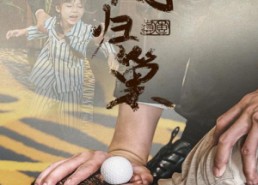 短剧《新版：凤归巢（68集）》优质短剧全集在线赏