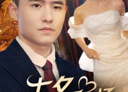 短剧《七夕我在结婚现场掀桌子（81集）》短剧超全81集免费享看