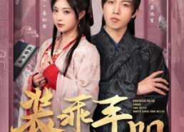 短剧《装乖手册你们别太爱了（82集）》短剧免费畅享全集观影