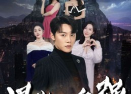 短剧《男儿当自强（90集）》爆款短剧完整版在线览