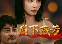 短剧《月下藏芳（62集）》短剧免费全集畅快追看