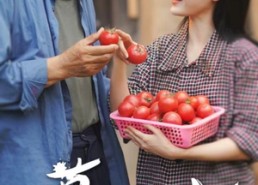 短剧《春草向阳而生（53集）》热门短剧高清畅享看