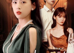 短剧《无处安放的婚姻（41集）》短剧免费全集一键观看