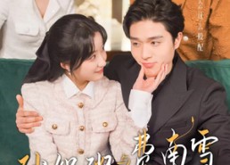 短剧《砂锅粥与费南雪（77集）》必看短剧全集免费放送