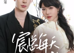 短剧《宸总每天都想入赘（65集）》免费短剧全集嗨看中