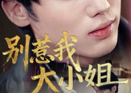 短剧《别惹我大小姐（40集）》短剧免费高清全集观看