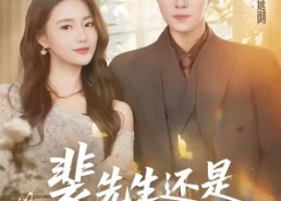 短剧《裴先生还是上钩了（62集）》短剧完整版在线畅享