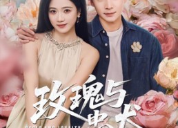 短剧《玫瑰与忠犬（80集）》爆款短剧免费在线追