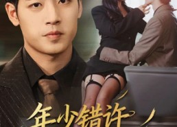 短剧《年少错许平生愿（65集）》短剧免费畅享完整版