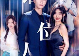 短剧《新：错位人生（78集）》短剧高清全集在线览