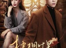 短剧《梧桐叶里思星辰（100集）》短剧免费在线看全集