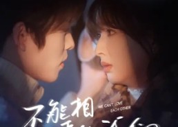 短剧《不能相爱的我们（50集）》短剧免费全集畅快观