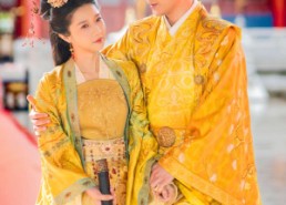 短剧《凤归桑梓（81集）》爆款短剧全集免费追看