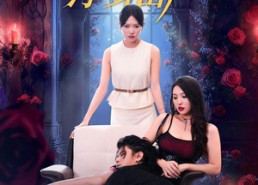 短剧《重生让老公净身出户（42集）》热门短剧在线免费赏