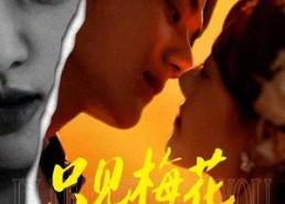 短剧《只见梅花不见人（63集）》短剧超长剧集免费畅看