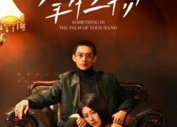 短剧《掌中之物（62集）》免费短剧全集高清观看