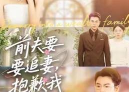 短剧《前夫要追妻，抱歉我领证了（81集）》短剧全剧集免费畅享观