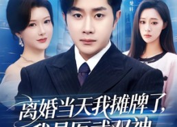 短剧《离婚当天我摊牌了，我是医武双神（80集）》短剧完整高清免费播放