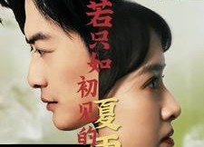 短剧《若只如初见的夏雨荷（90集）》超火短剧免费全集享