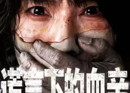 短剧《谎言下的血亲（53集）》短剧高清全集在线速看