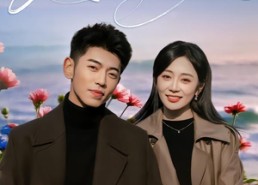 短剧《爱在尘埃中绽放（86集）》热门短剧免费高清观看