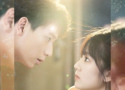 短剧《城北暖洋洋（60集）》短剧免费全集一键畅享