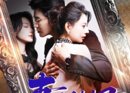 短剧《妻子的网（50集）》热门短剧免费畅快观