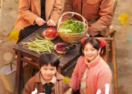 短剧《家里家外（79集）》免费短剧在线高清看