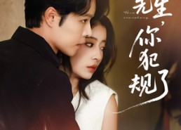 短剧《霍先生你犯规了（80集）》超火短剧全集免费看