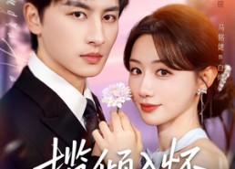 短剧《揽倾入怀（81集）》短剧免费畅享全集观