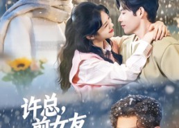 短剧《许总，前女友喊你别追了（80集）》免费短剧全集在线赏播