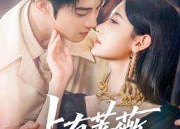 短剧《占有蔷薇（76集）》精彩短剧完整免费享