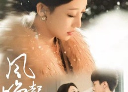 短剧《风起晚川（61集）》短剧超清全集免费畅享