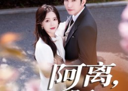 短剧《阿离阿梨（60集）》超火短剧免费全集看