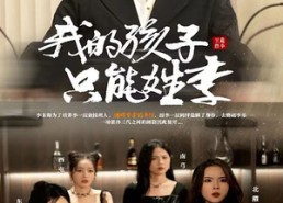 短剧《我的孩子只能姓李（50集）》短剧完整免费高清看