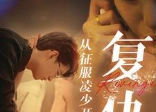 短剧《复仇从征服凌少开始（40集）》热门短剧免费全集看