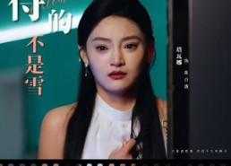 短剧《我期待的不是雪（30集）》短剧完整版免费在线赏