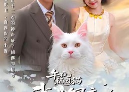 短剧《午夜缅因猫我的饲主竟是命中注定（66集）》短剧免费高清全集观看