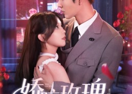 短剧《娇咬玫瑰（98集）张》短剧免费全集高清播放