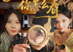 短剧《公主，这案你怎么看（81集）》热门短剧免费高清播放