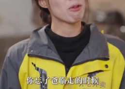 短剧《自作孽不可活（41集）》热门短剧无广告在线追