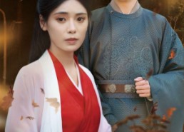 短剧《爱意随风起风止意难平（36集）》短剧免费全集高清在线览