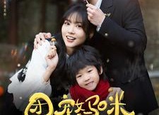 短剧《团宠妈咪带娃寻爹（100集）》短剧全集免费畅快看