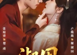 短剧《淑因（65集）》短剧完整剧情在线播放