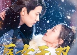 短剧《医女无双（90集）》超燃短剧完整版在线赏