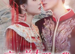 短剧《高冷前夫强撩我（66集）》超火短剧一键在线追剧